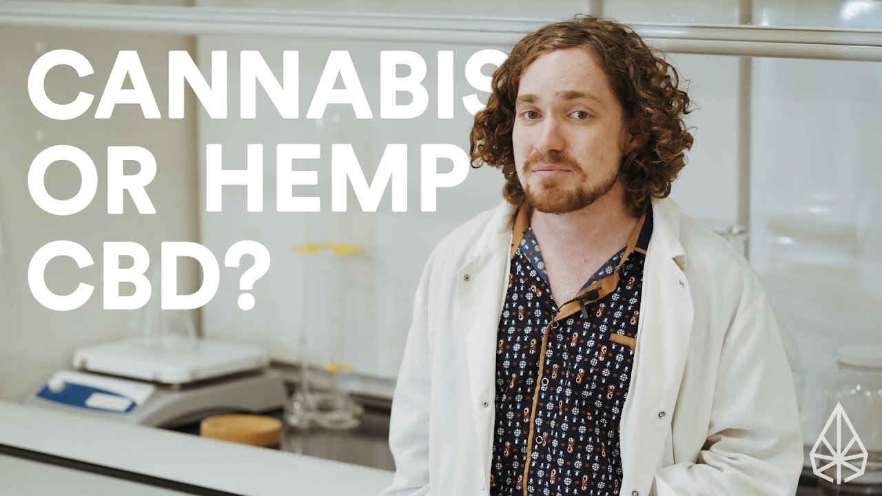 Hemp CBD vs. CBD Oil