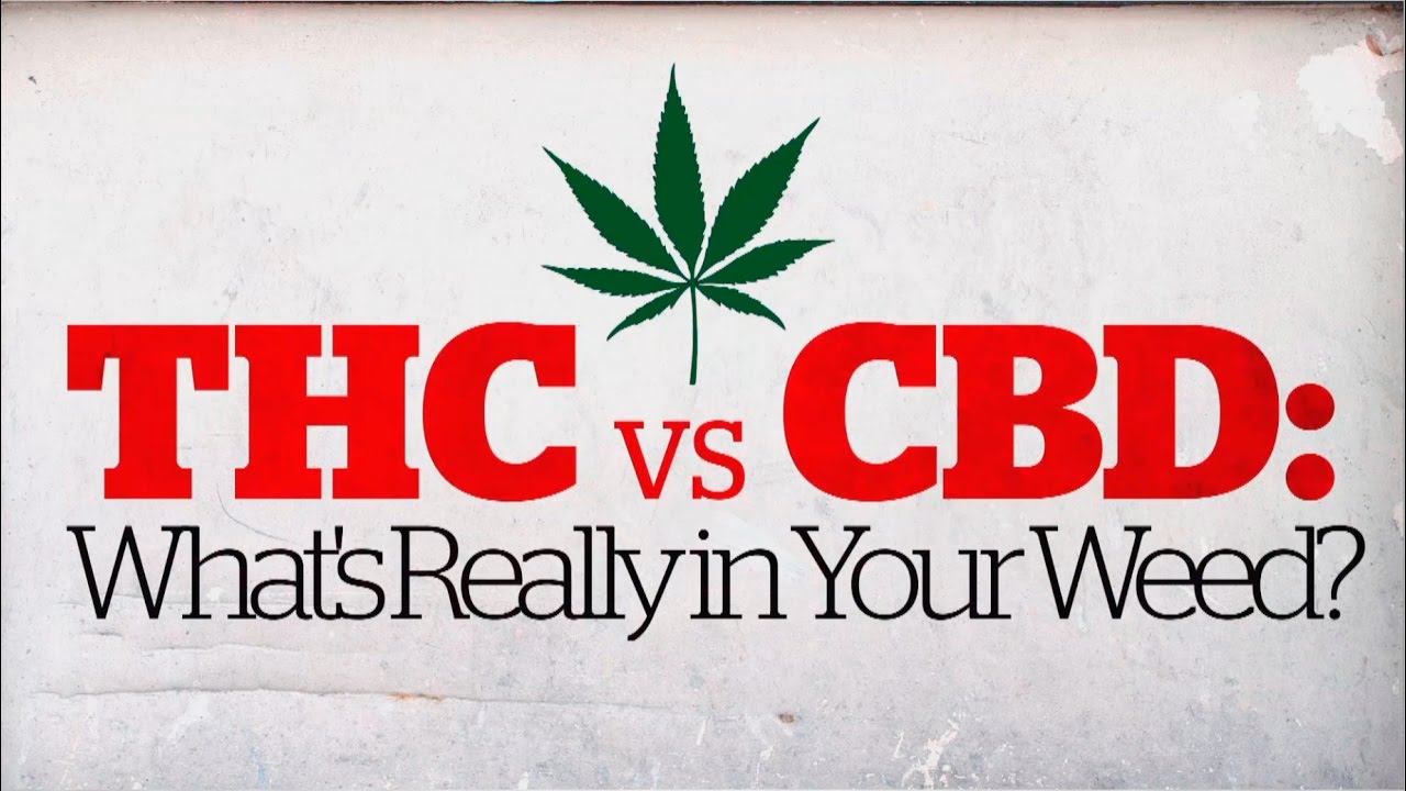 THC vs CBD: What's really in your weed? (CBC Marketplace)