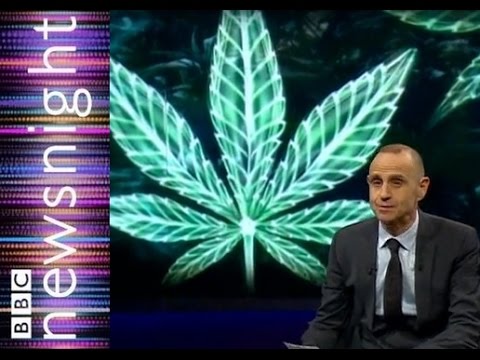 Can Cannabis oil reduce cancerous tumors?  – Newsnight