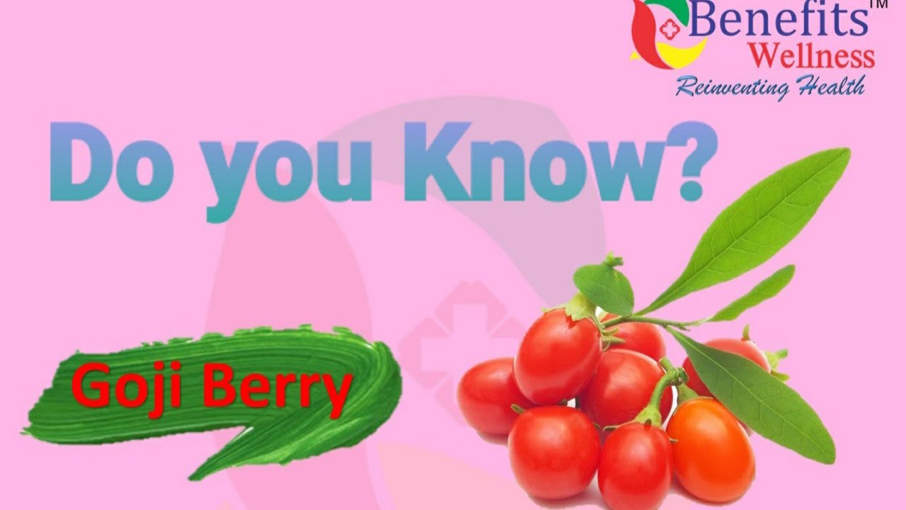 Goji Berry Benefits Health | Benefit Plus | USA WELLNESS PVT. LTD +919815821273