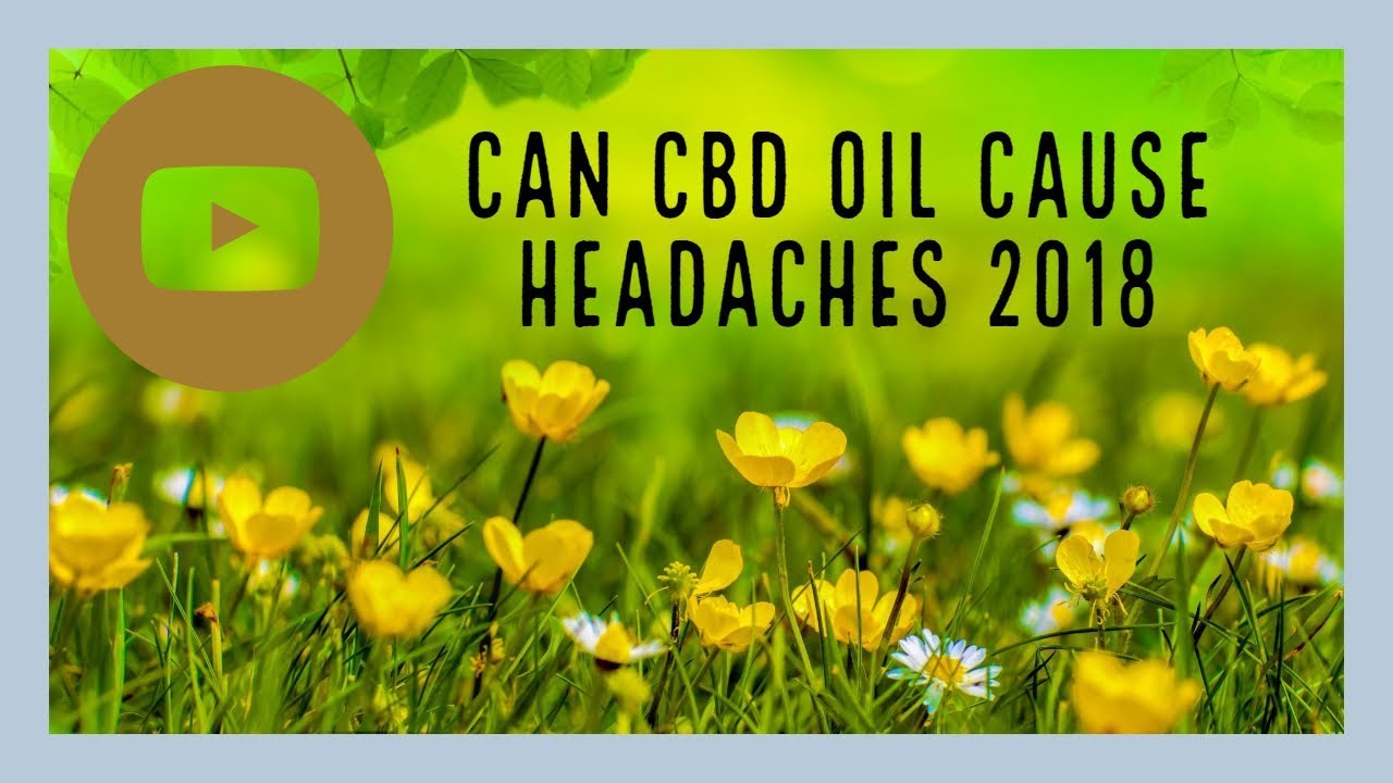 Can CBD Oil Cause Headaches?(2019) | Hemp Oil For Headaches