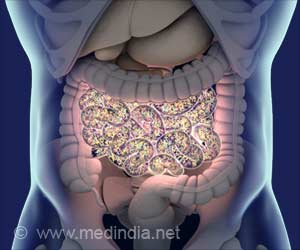 Insights into How the Body Maintains Good Gut Bacteria