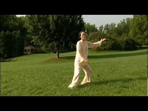 Tai Chi and Qi Gong [All 5 Chapters]