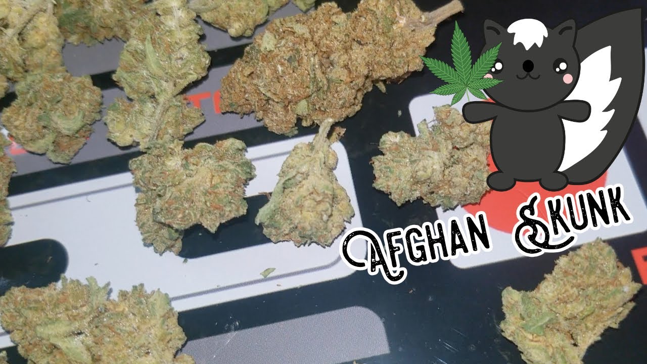 Afghan Skunk! ~ CBD Hemp Flower Review (from Arete Hemp)