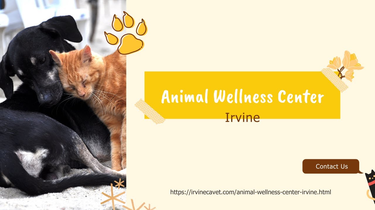 Animal Wellness Center Irvine