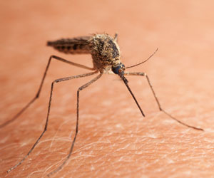 New Vaccine Shows Protection Against Malaria