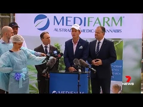 Australia’s first licensed medicinal cannabis farm has officially opened on the Sunshine Coast