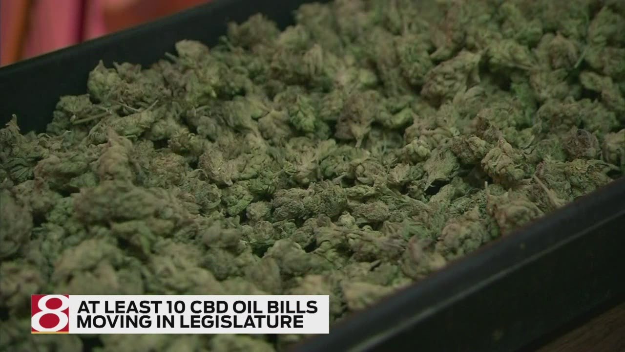 CBD bills moving in legislature