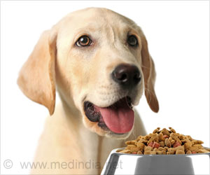 Dog Food Contains Antibiotic-resistant Bacteria