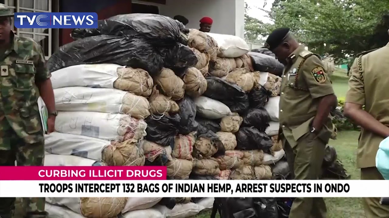 [Watch] Troops Intercept 132 Bags Of Indian Hemp, Arrest Suspects In Ondo