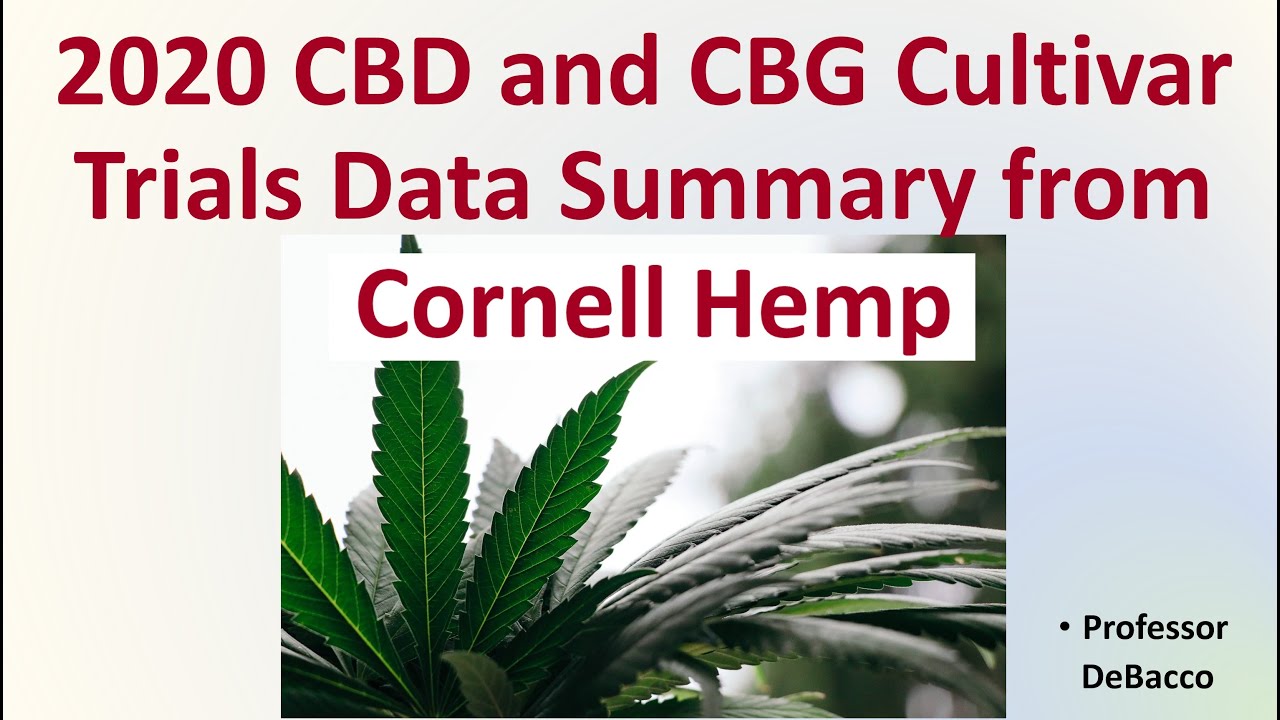 2020 CBD and CBG Cultivar Trials Data Summary from Cornell Hemp