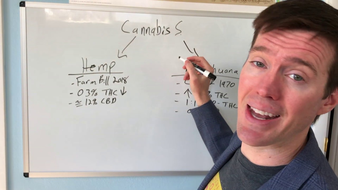 Hemp, Marijuana or Cannabis – What's the Difference?