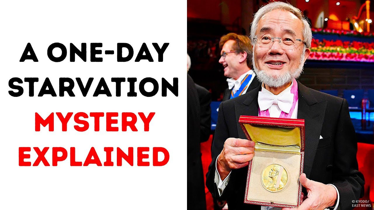 A One-Day Starvation Secret Got the Nobel Prize