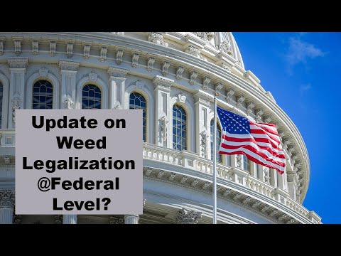 National Legalization of Cannabis Update 8-6-21