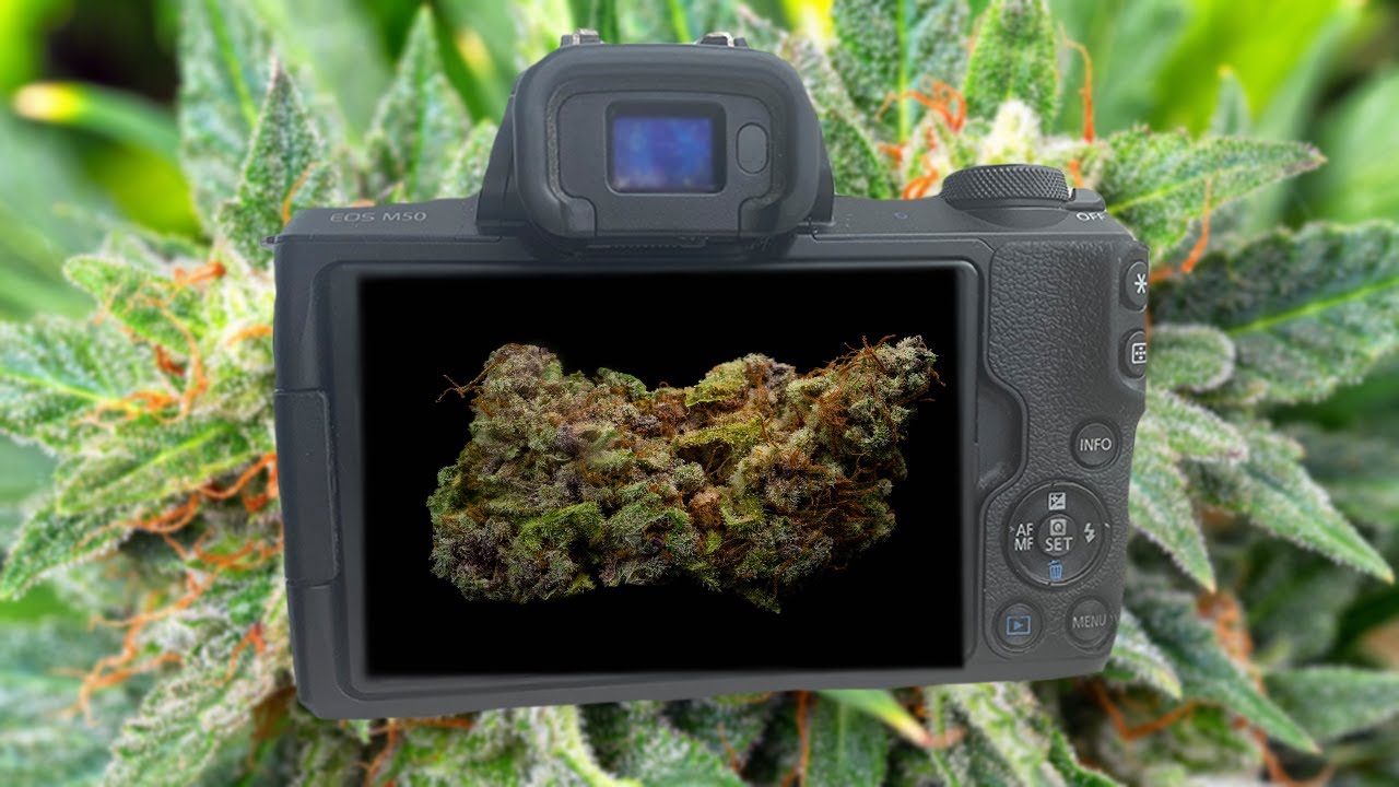 Cannabis Photography Setup & Basics – How To Photograph Marijuana