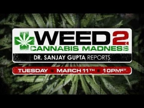 WEED 2 – Cannabis Madness – hemp oil cure cancer seizure marijuana NATURAL NO SIDE EFFECTS