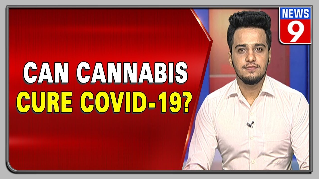 Can cannabis cure COVID-19? A Canadian study thinks so!