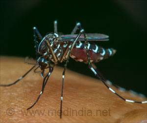 Sugar Stops the Spread of Mosquito-Borne Arboviral Diseases