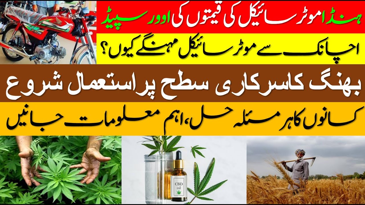 Hemp cultivation begins at Government level I Honda Motorcycles latest price I Big news for Farmers