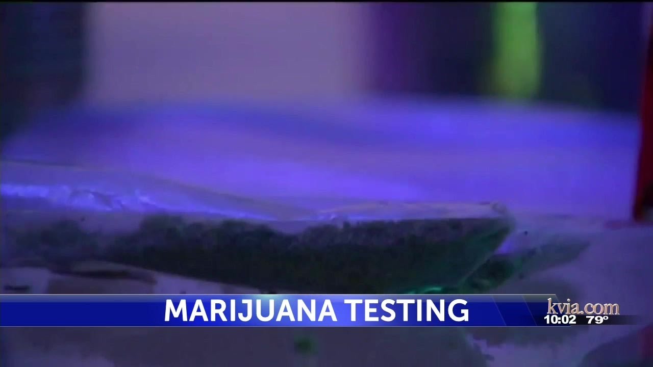 EPPD to ask City Council to spend $360,000 in tax money on marijuana testing