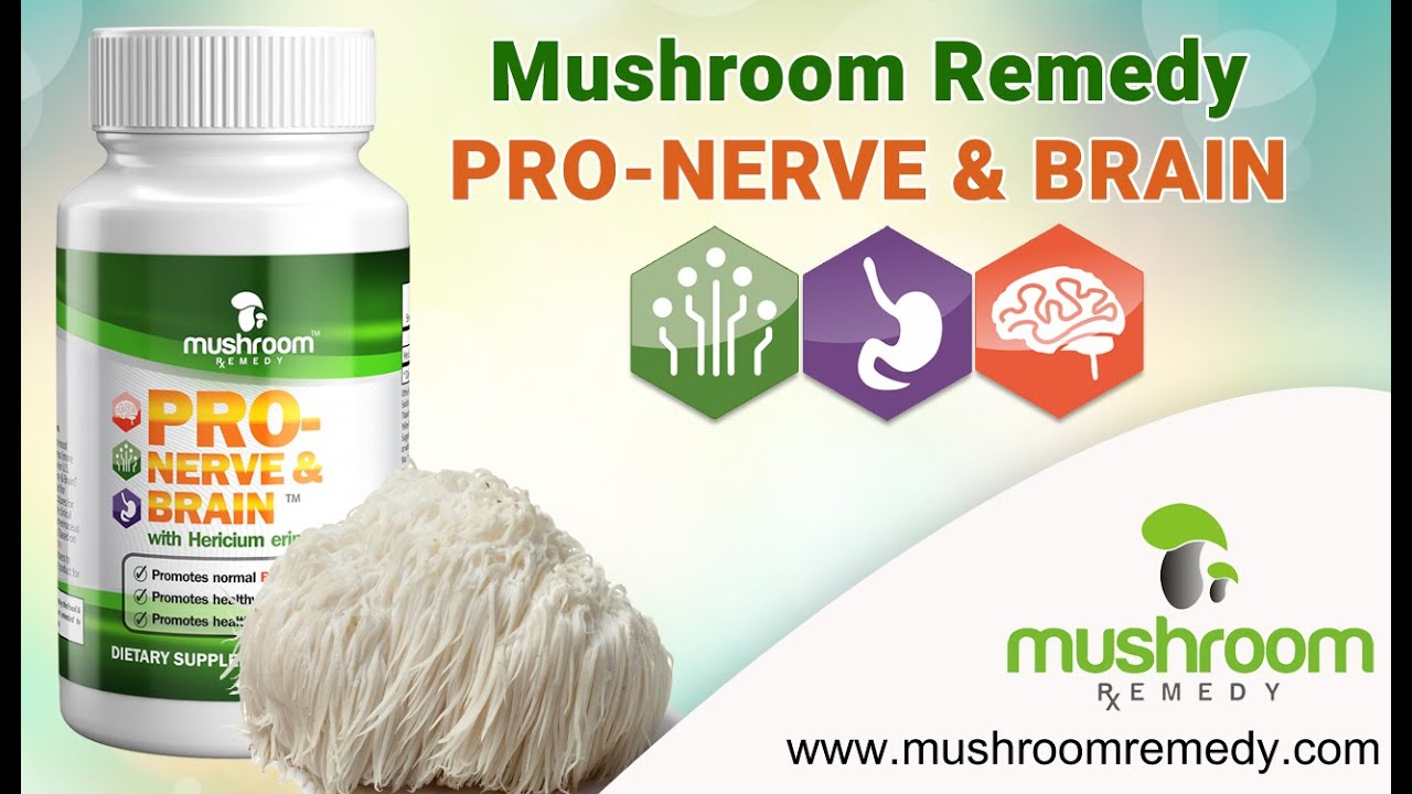 Wellness Mushroom Remedy | Health For Pro Nerve & Brain