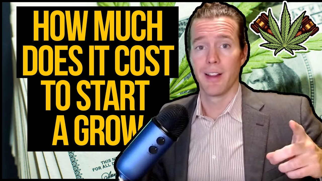 How much does it cost to start a licensed cannabis grow operation? Startup cannabis grow costs