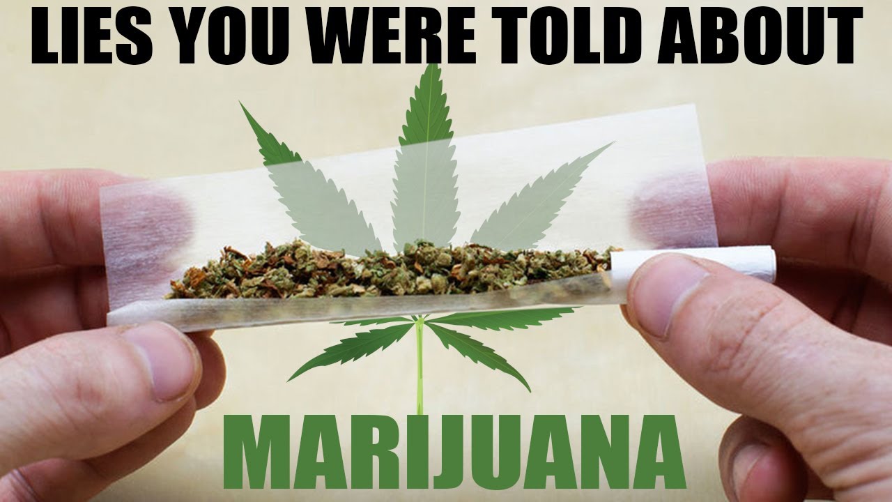 10 LIES You Were Told About Marijuana