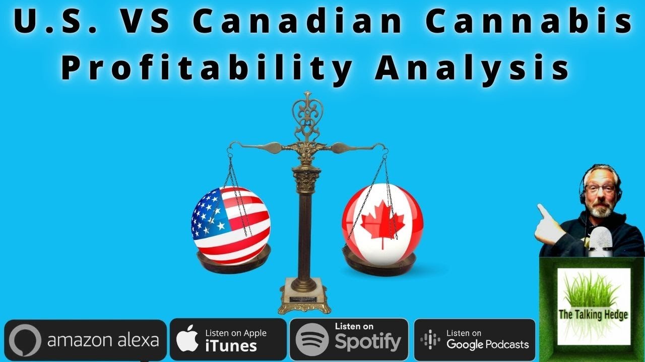 U.S. vs Canadian Cannabis Profitability Update