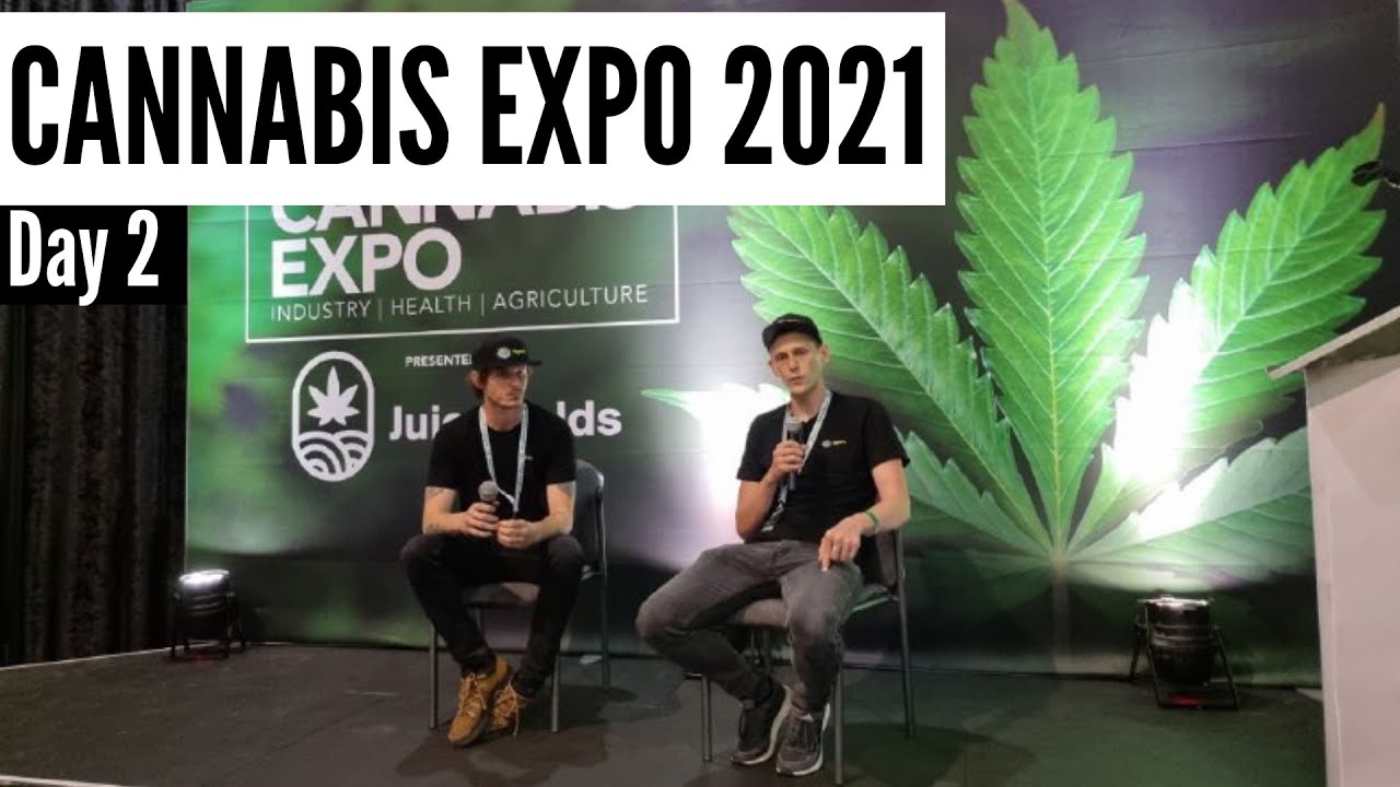 Sandton Cannabis Expo Day 2