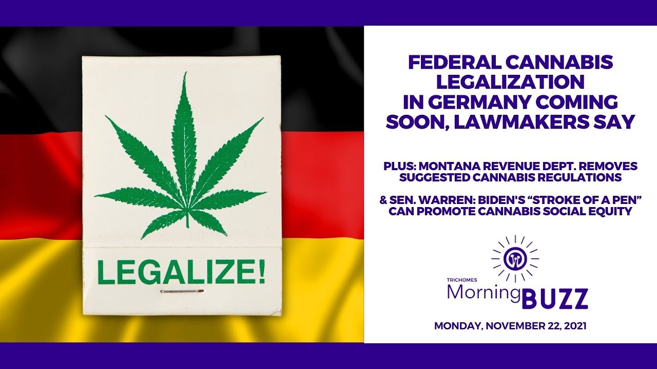 Federal Cannabis Legalization In Germany Coming Soon, Lawmakers Say