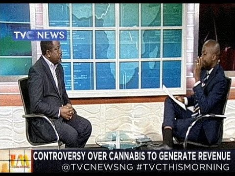 Why Cannabis has become a very controversial plant-Interview with Dr Tuyi Mebawondu