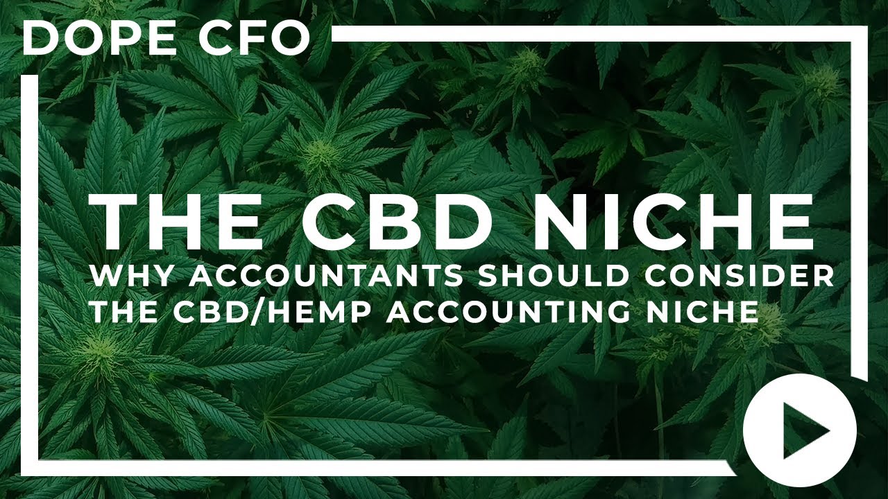 Why Accountants Should Consider the CBD/Hemp Niche