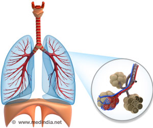 Scientists Used a New Approach to Engineer Artificial Lungs