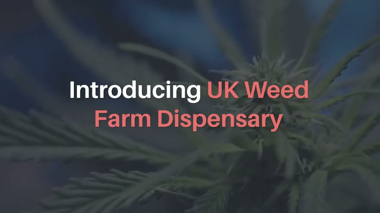 Buy Cannabis Online UK | Buy Weed Online | Buy Weed Edibles Online UK – UK Weed Farm Dispensary