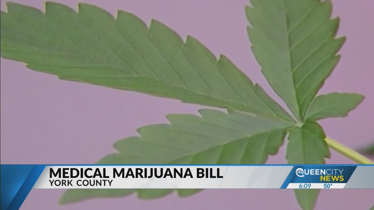 Medical Marijuana Bill draws mixed reaction in South Carolina