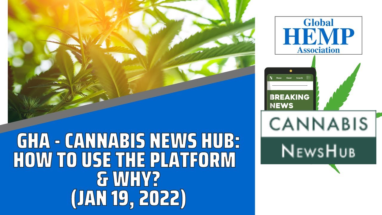 GHA – Cannabis News Hub: How To Use The Platform And Why?