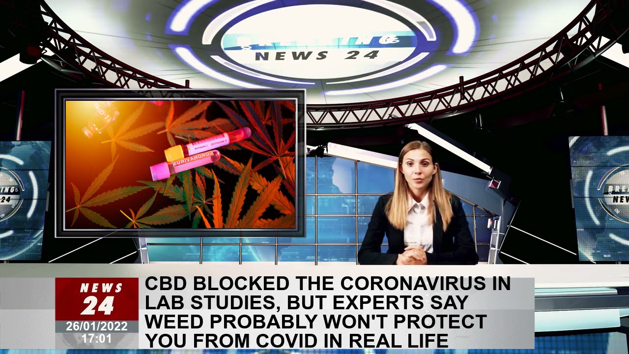 CBD stops coronavirus in lab studies, but experts say weed may not protect you from COVID in real li