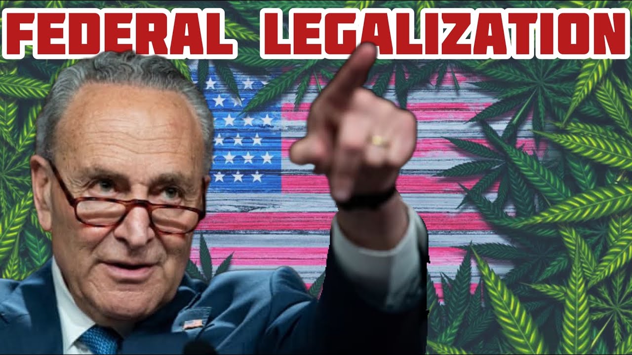 Schumer sets the Stage for Federal Cannabis Legalization Bill