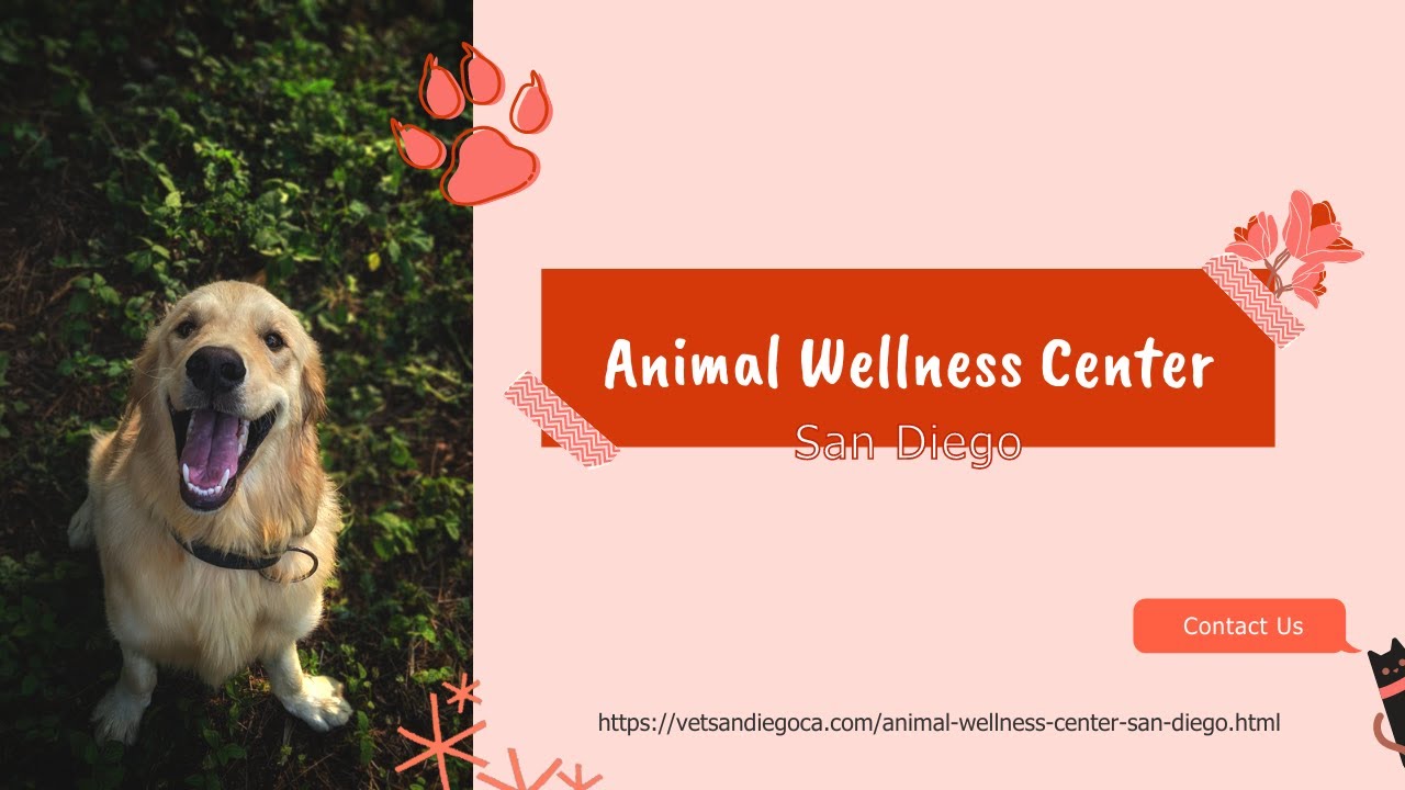 Animal Wellness Center San Diego