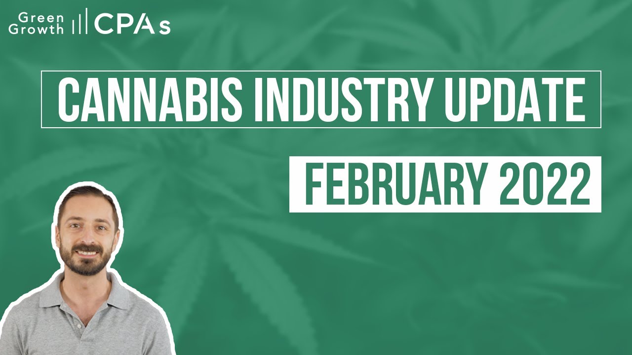 Cannabis Industry Update (February) + Cannabis Stocks Report