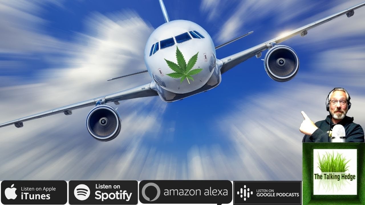 Airport Pot Shops, Eh?