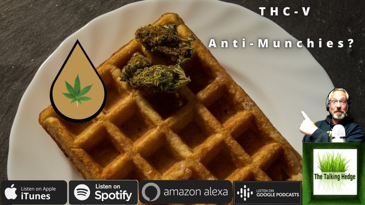 THC-V, the Anti-Munchie Strain?