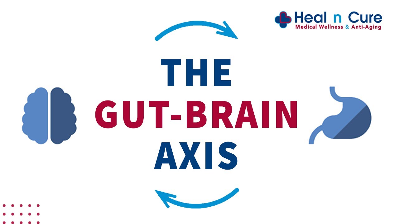 Gut Brain  Axis – Brain Gut Connection | Heal n Cure Medical Wellness Centre| Dr. Meena