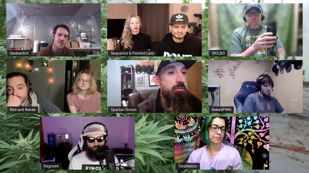 Bros Show Live 139 Talking Hemp ft. Dankavitch