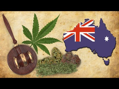 Aussie Grow Show, When to harvest Cannabis in AUustralia