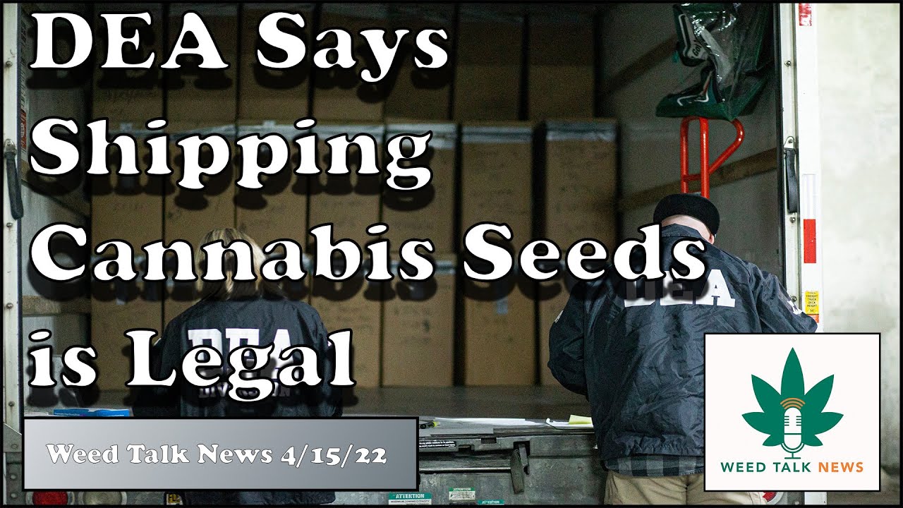 DEA Says Shipping Cannabis Seeds is Legal!