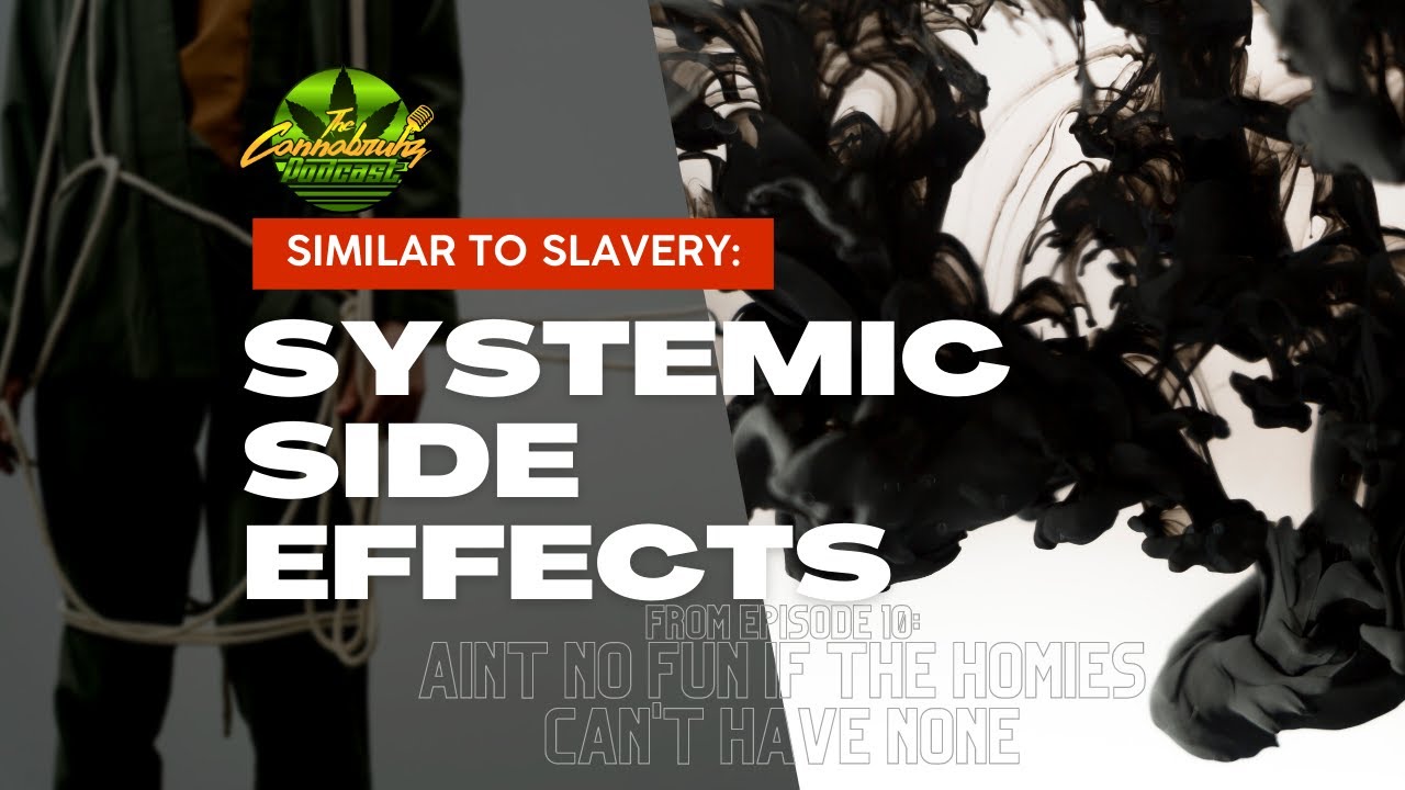 Similar to Slavery: Systemic Side Effects | The Cannabruhz Ep 10 Aint No Fun…