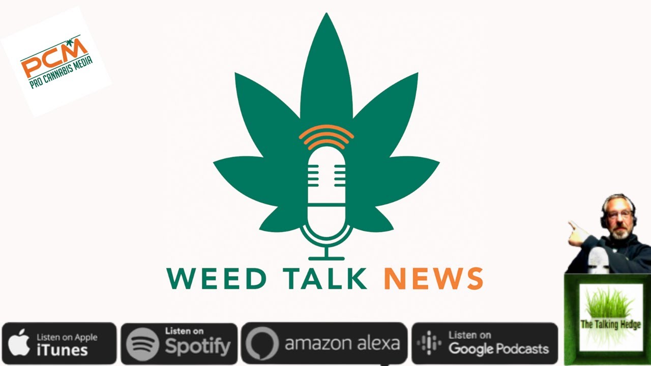 Weed Talk News