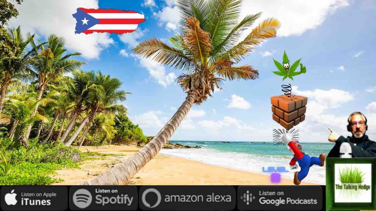 How to Start a Cannabis Business: Island of Opportunities in Puerto Rico