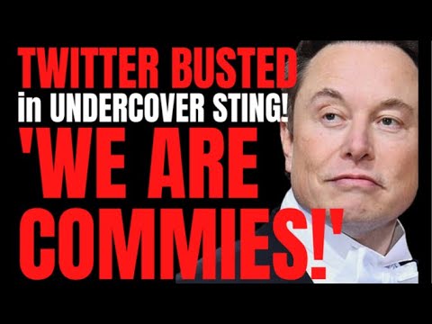 TWITTER EXPOSED: 'Twitter does not believe in FREE SPEECH’ Fear Elon Musk Takeover